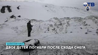 Двое детей погибли после схода снега в Шалинском районе