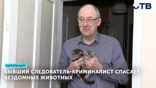 Бывший следователь-криминалист спасает бездомных животных