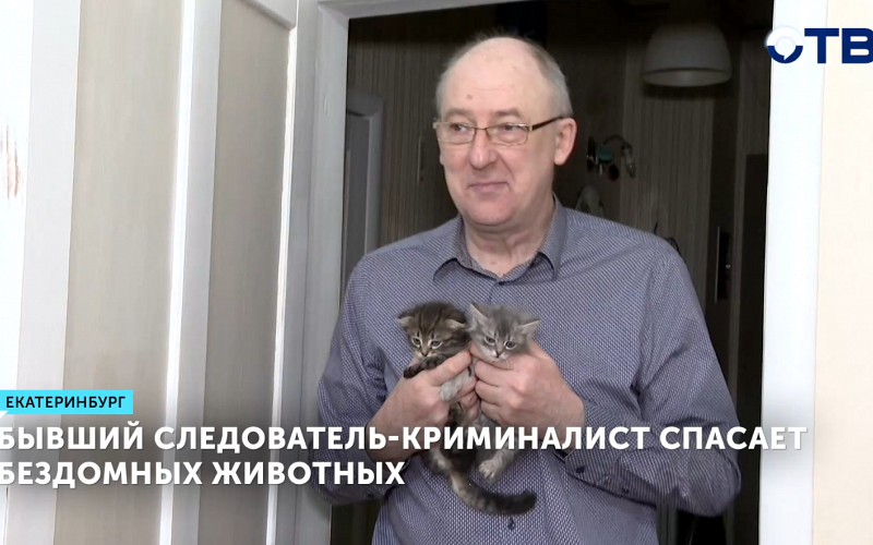 Бывший следователь-криминалист спасает бездомных животных