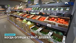 Цены на огурцы в Свердловской области упадут весной