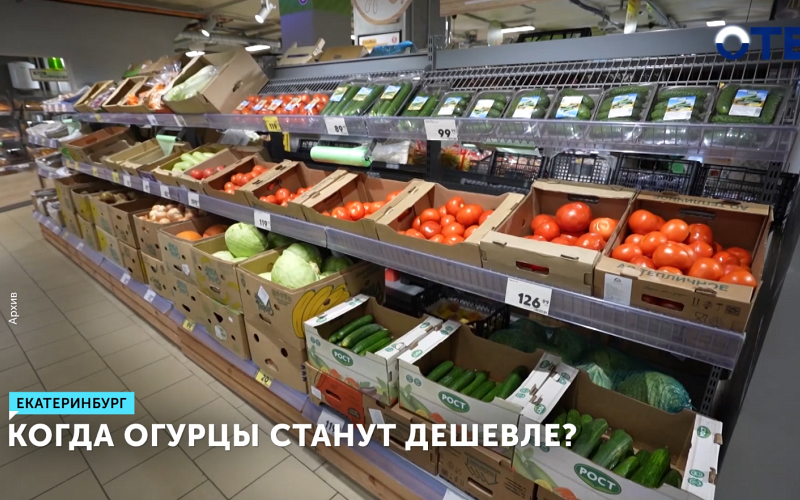 Цены на огурцы в Свердловской области упадут весной