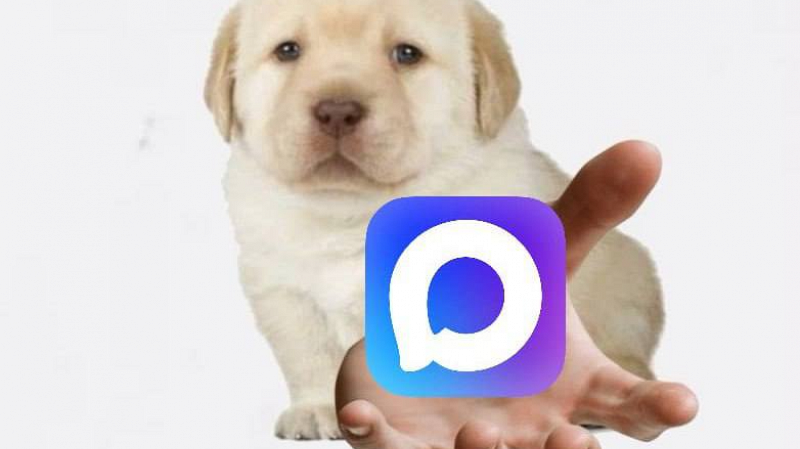 В Госдуме предупредили о штрафах для УК за отсутствие домового чата в МАХ