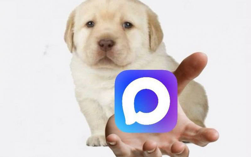 В Госдуме предупредили о штрафах для УК за отсутствие домового чата в МАХ