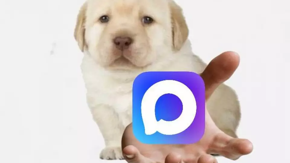 В Госдуме предупредили о штрафах для УК за отсутствие домового чата в МАХ