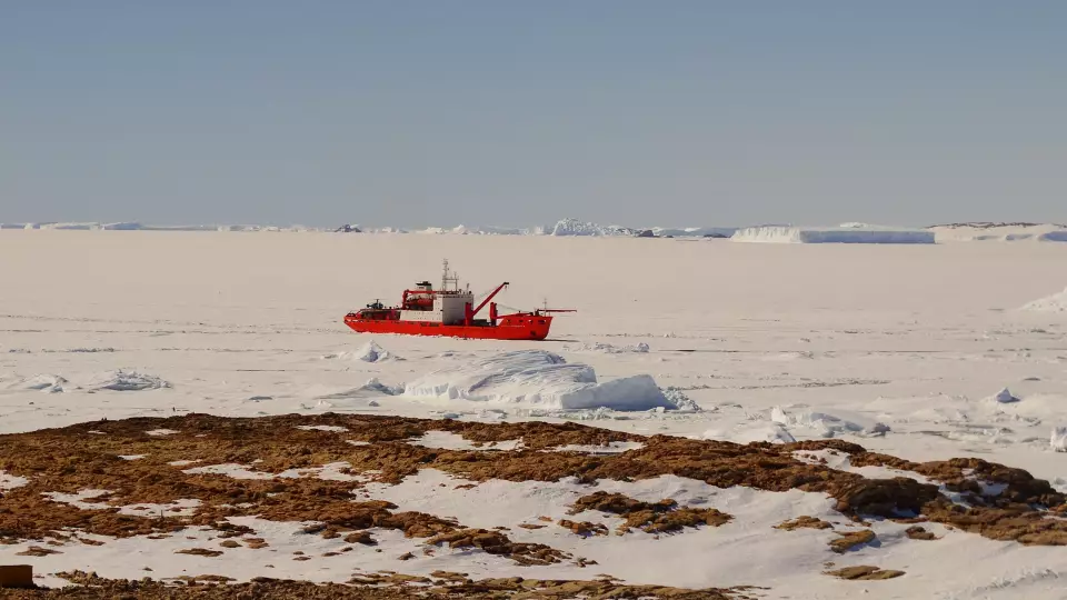 МТС провела связь в важном логистическом центре Антарктиды — бухте Тала