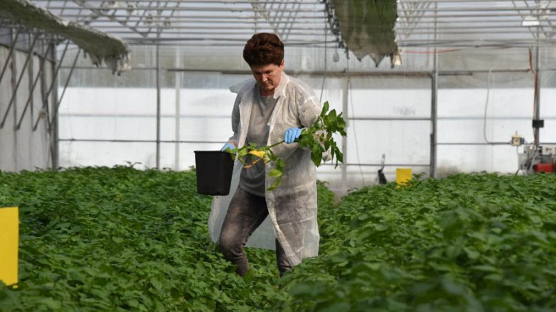 Свердловская область вошла в топ-10 регионов по инновационности в АПК