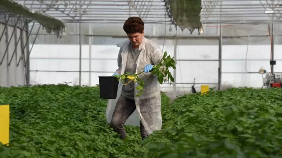 Свердловская область вошла в топ-10 регионов по инновационности в АПК