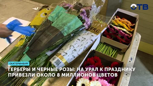 На Урал к 8 марта привезли 8 миллионов цветов