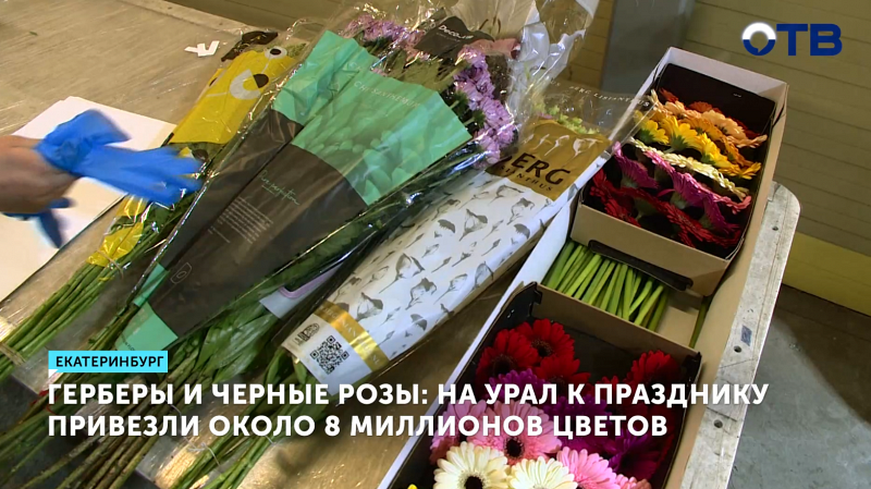 На Урал к 8 марта привезли 8 миллионов цветов