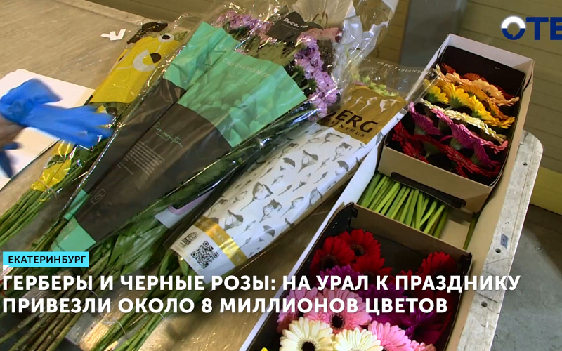 На Урал к 8 марта привезли 8 миллионов цветов