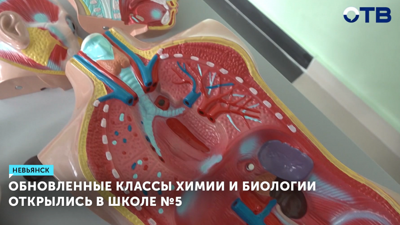 Обновленные классы химии и биологии открылись в школе №5