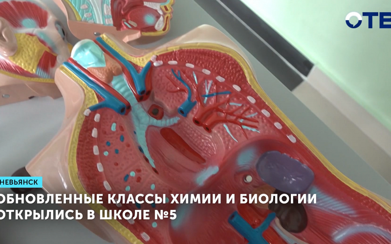 Обновленные классы химии и биологии открылись в школе №5