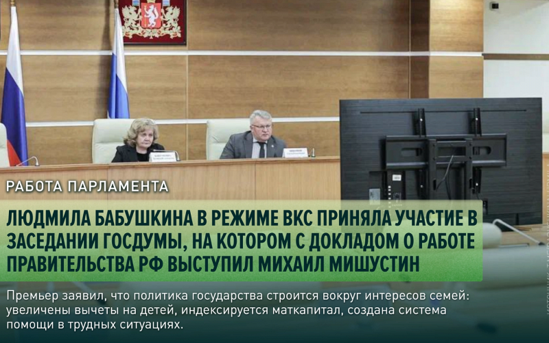 Людмила Бабушкина в режиме ВКС приняла участие в заседании Госдумы