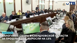 Налоговые сборы в Свердловской области за прошлый год выросли на 13%