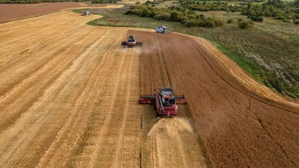 Свердловские аграрии получат дополнительно почти 20 тысяч гектаров земли под посевы