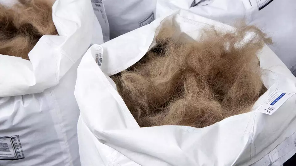 На Ямале начали производить утеплитель из оленьей шерсти