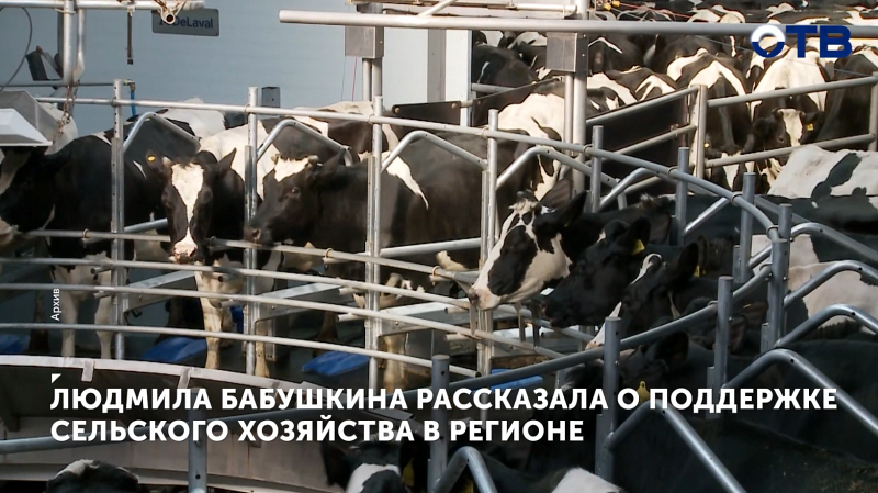 Людмила Бабушкина рассказала о поддержке сельского хозяйства в регионе