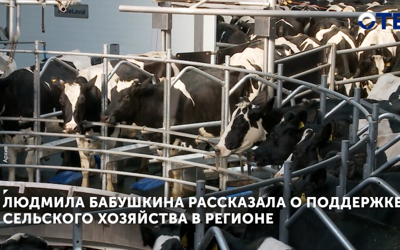 Людмила Бабушкина рассказала о поддержке сельского хозяйства в регионе