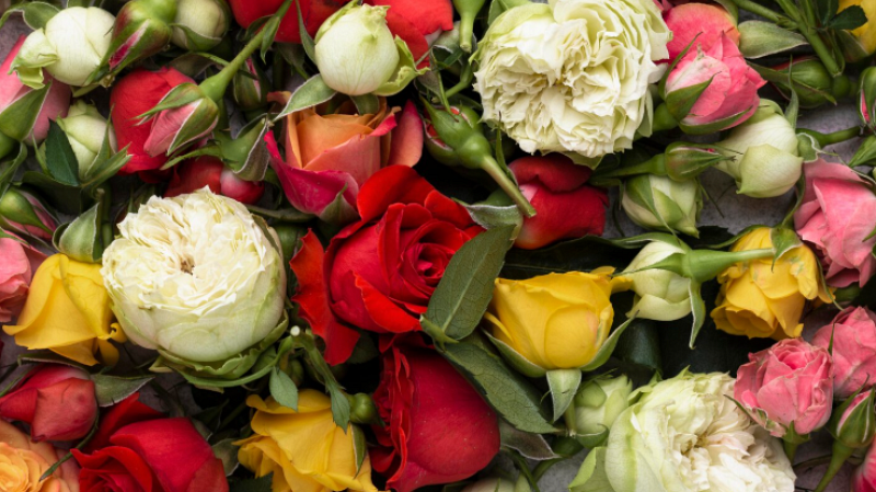 Врач рассказала, когда цветы на 8 Марта могут навредить