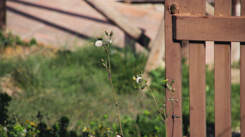 Россияне перестали покупать дачи из-за проблем со связью