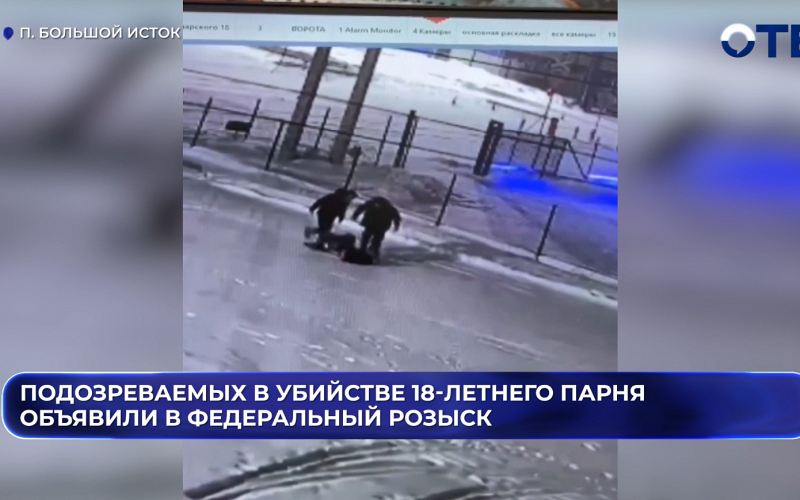 Подозреваемые в убийстве юноши в Большом Истоке в розыске
