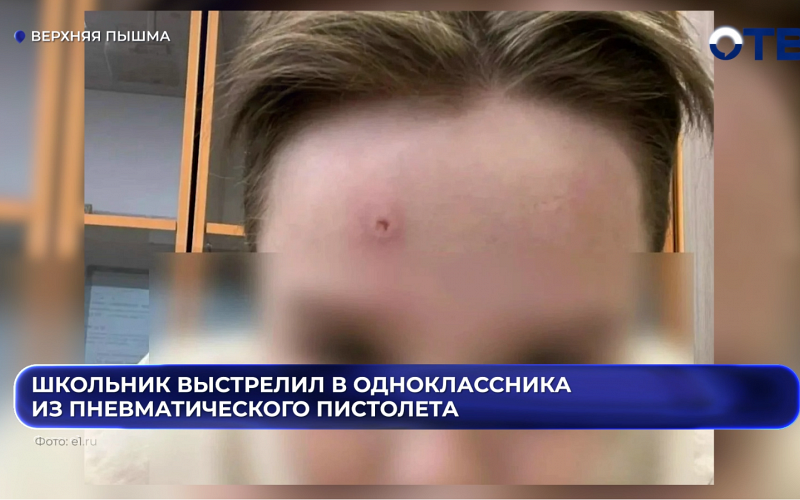 Прокуратура проверяет школу в Верхней Пышме, где пятиклассник выстрелил в одноклассника