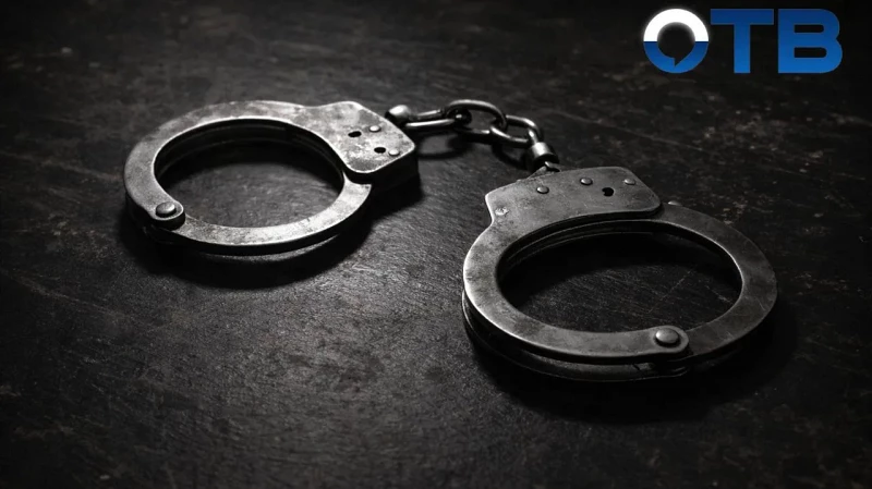 Задолжала 1 миллион алиментов на шестерых детей