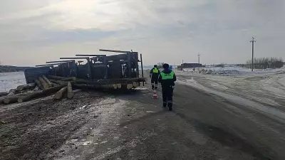 Лесовоз опрокинулся в кювет в Туринском районе: двое пострадали
