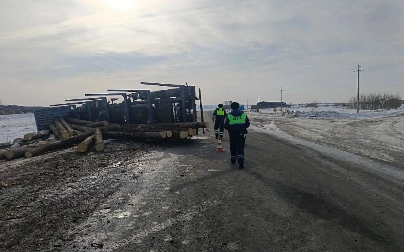 Лесовоз опрокинулся в кювет в Туринском районе: двое пострадали