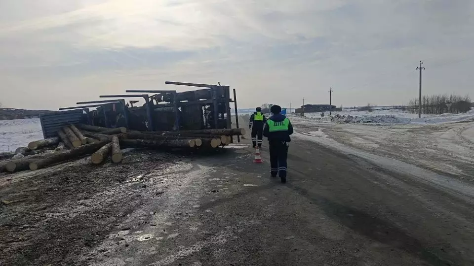 Лесовоз опрокинулся в кювет в Туринском районе: двое пострадали