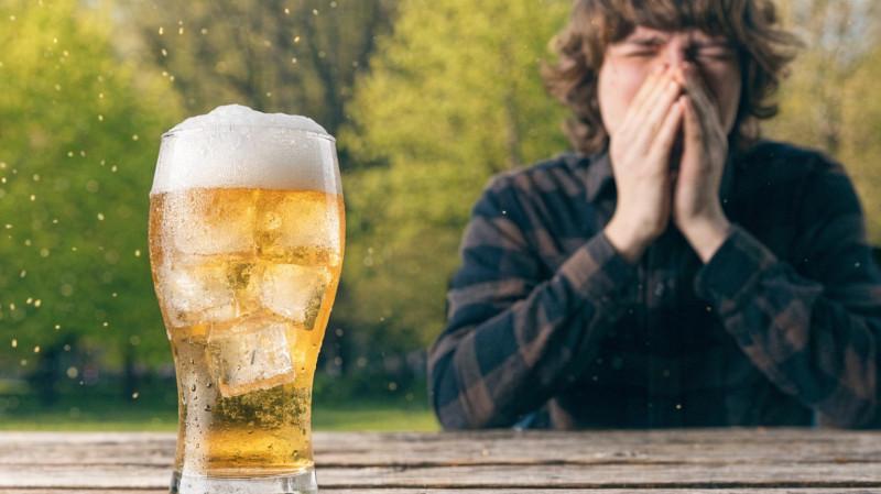 Аллергия на пиво: как распознать реакцию на алкоголь и причем тут пыльца