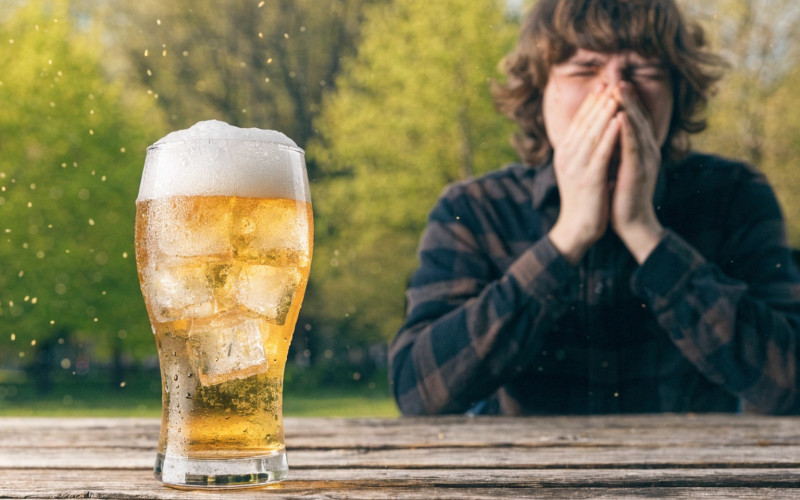 Аллергия на пиво: как распознать реакцию на алкоголь и причем тут пыльца