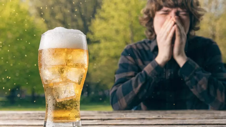 Аллергия на пиво: как распознать реакцию на алкоголь и причем тут пыльца