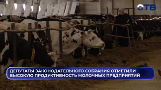 Депутаты Законодательного собрания отметили высокую продуктивность молочных предприятий
