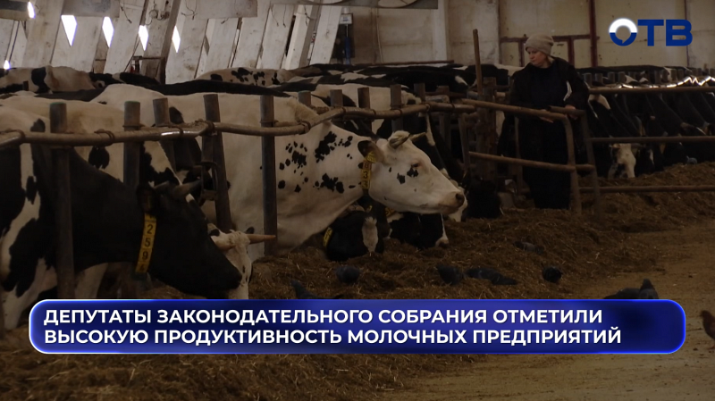 Депутаты Законодательного собрания отметили высокую продуктивность молочных предприятий