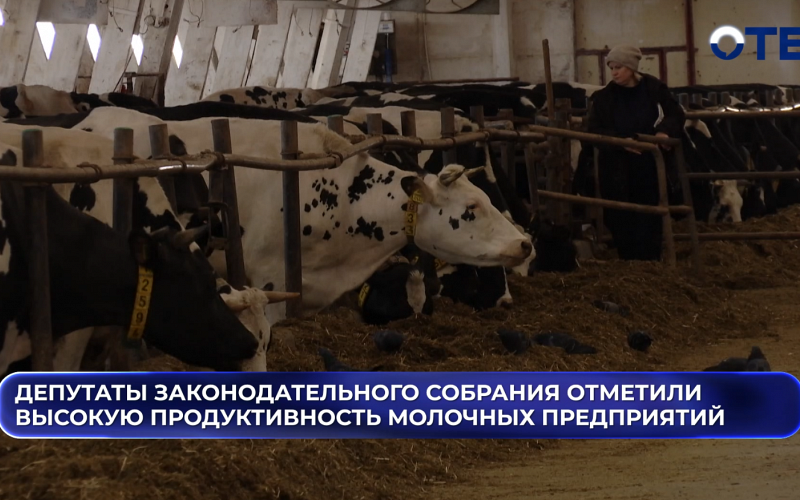 Депутаты Законодательного собрания отметили высокую продуктивность молочных предприятий