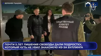 Почти 5 лет лишения свободы дали подростку, который чуть не убил знакомую из-за буллинга