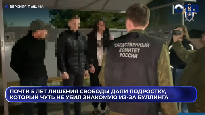 Почти 5 лет лишения свободы дали подростку, который чуть не убил знакомую из-за буллинга