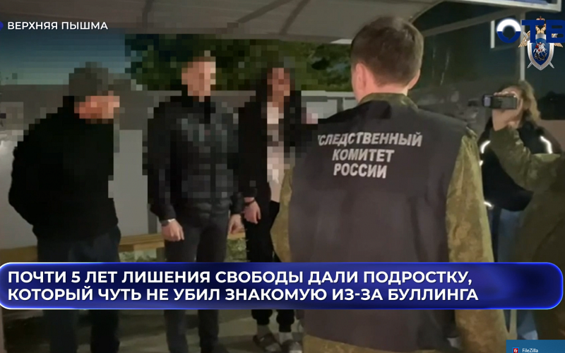 Почти 5 лет лишения свободы дали подростку, который чуть не убил знакомую из-за буллинга