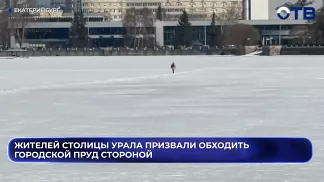Жителей столицы Урала призвали обходить городской пруд стороной