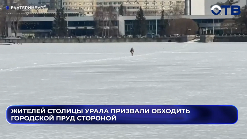 Жителей столицы Урала призвали обходить городской пруд стороной