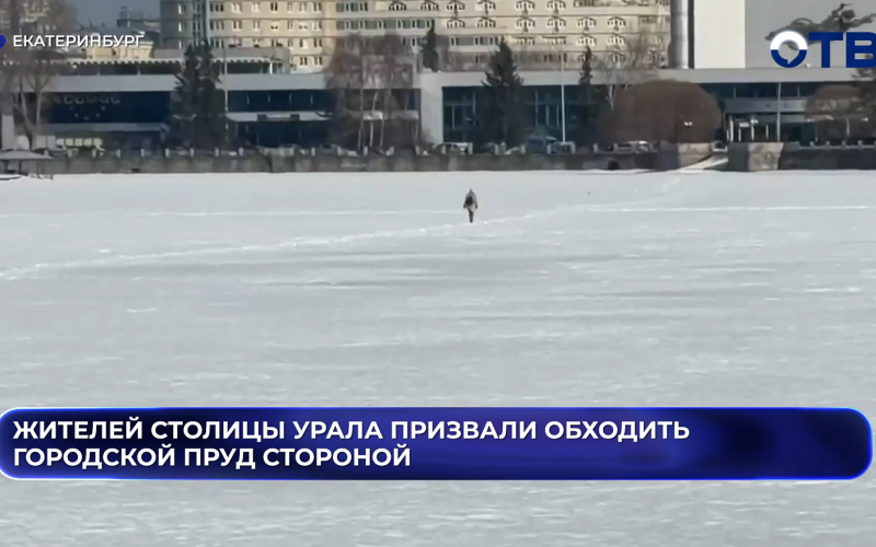 Жителей столицы Урала призвали обходить городской пруд стороной
