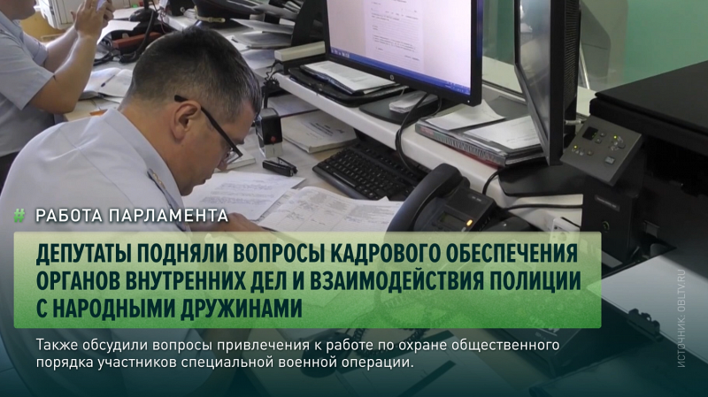 Людмила Бабушкина и депутаты изучили доклад МВД за 2025 год