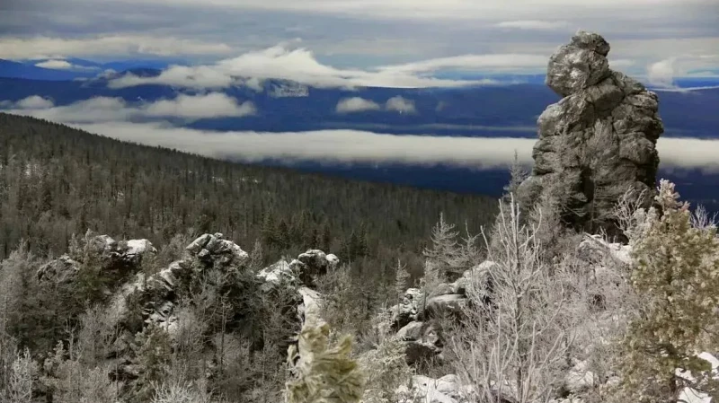 Леса Среднего Урала — главное богатство региона, напомнил Денис Паслер