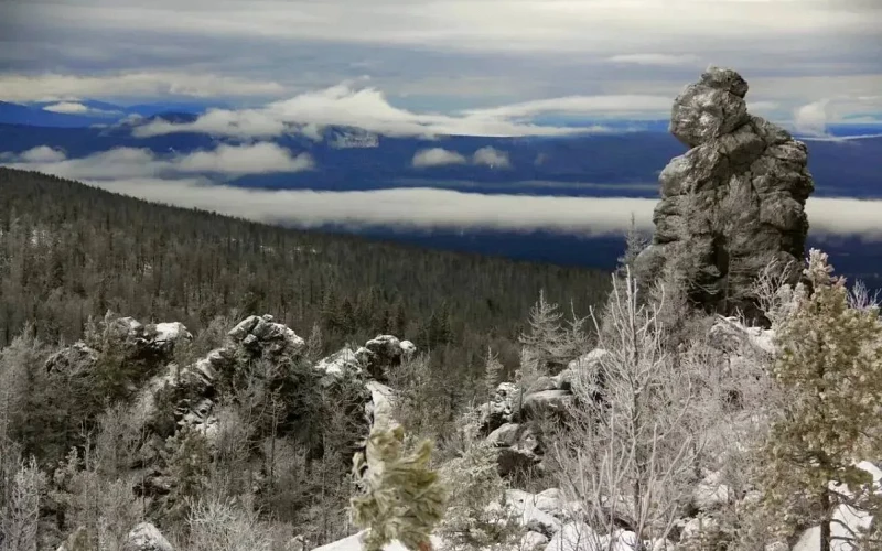 Леса Среднего Урала — главное богатство региона, напомнил Денис Паслер
