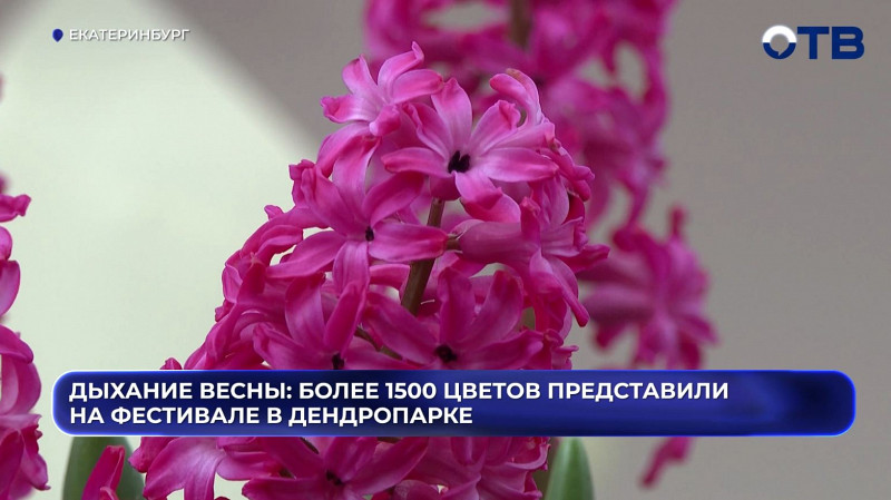 Фестиваль «Дыхание весны» стартовал в Екатеринбурге