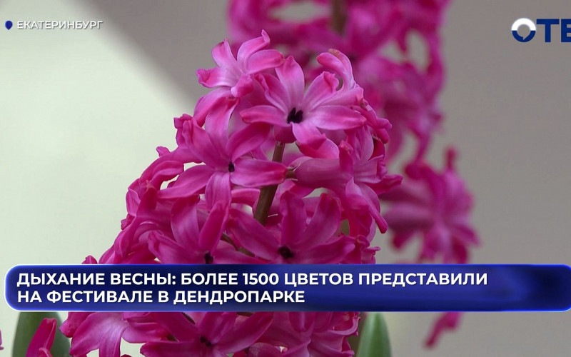 Фестиваль «Дыхание весны» стартовал в Екатеринбурге