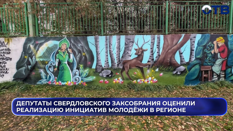 Депутаты Заксобрания Свердловской области оценили реализацию инициатив молодёжи в регионе