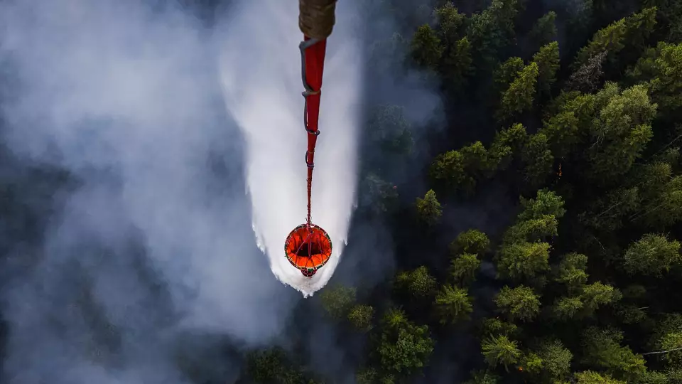 Утвердили сводный план тушения лесных пожаров в Свердловской области