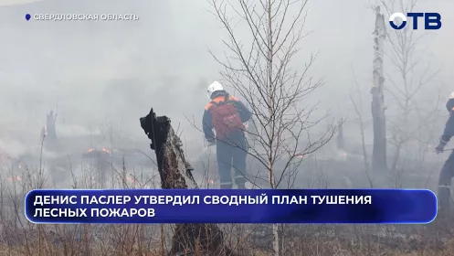 Утвердили сводный план тушения лесных пожаров в Свердловской области